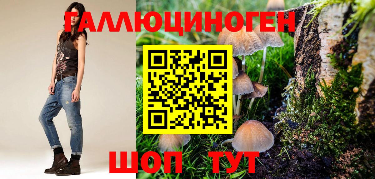 Зеленокумск  Псилоцибиновые грибы мицелий  Вход с VPN 